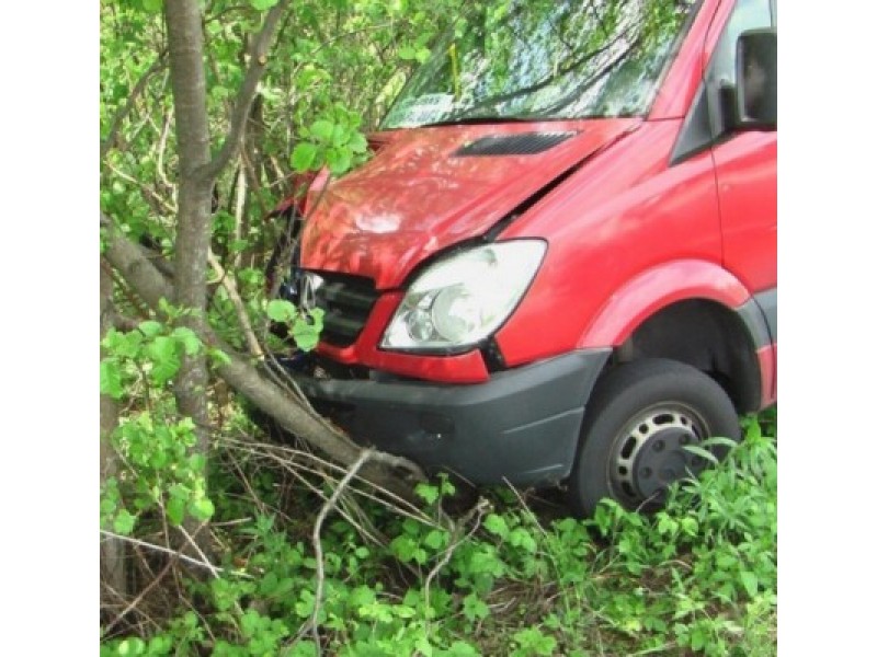 Sušlubavus vairuotojo sveikatai į medžius rėžėsi autobusas „Klaipėda-Palanga“