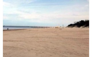 Krantotvarkos specialistai: Palangos paplūdimiai smėliu maitinti ne veltui