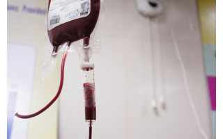 Hemofilija gali likti nepastebėta metų metus: profesionalus sportininkas diagnozę išgirdo tik suaugęs