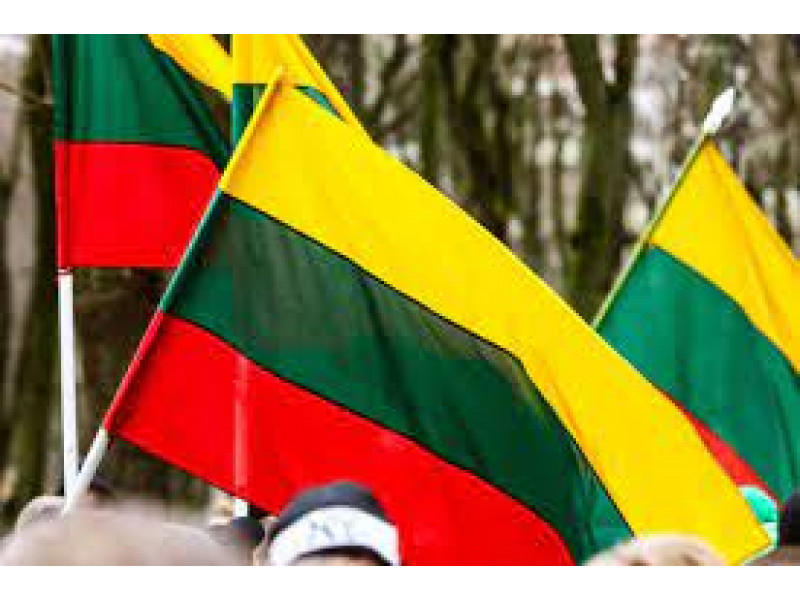 Seimas pritarė Lietuvos piliečių rengimo pilietiniam pasipriešinimui strategijai