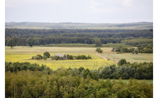 Vyriausybė pritarė siūlymui visą valstybinę žemę perduoti savivaldai