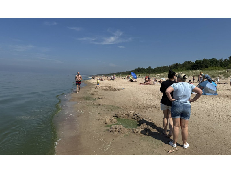Žydintis vanduo Palangos paplūdimyje. FOTO: ARŪNO MILAŠIAUS NUOTR.