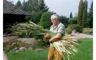 Birutės parko dieną – dėmesys laiškams