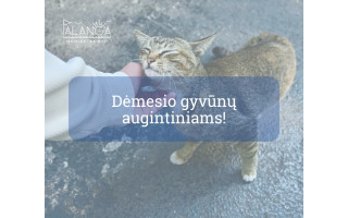 Informacija gyvūnų (šunų, kačių ir šeškų) šeimininkams