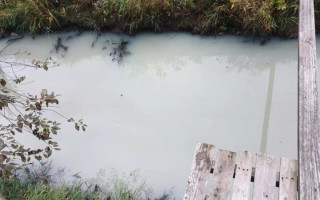 Rąžės upelio Palangoje spalva sukėlė nuostabą: vanduo nusidažė baltai