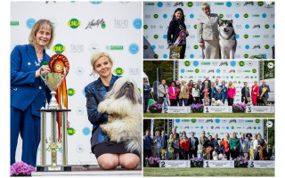 Tarptautinėse parodose Palangoje – Lietuvos šunų triumfas 