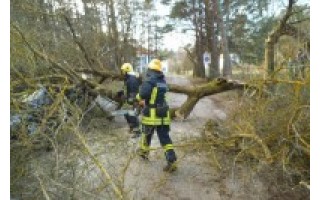 Į gamtos maišto sūkurį pakliuvo ir Palanga