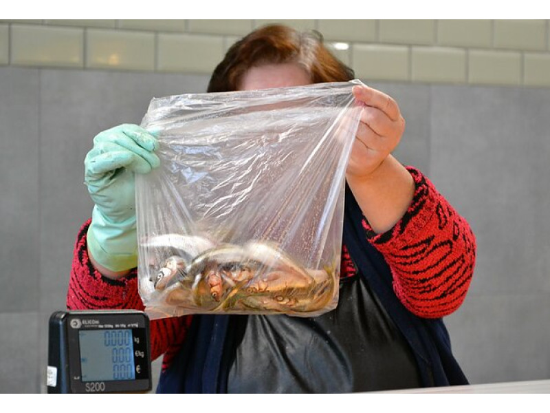 Stintos / R. Rumšienės/LRT nuotr.