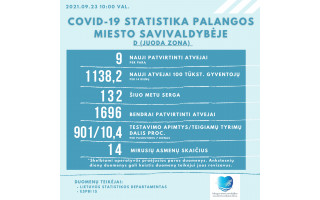 Palangoje ketvirtadienį – 9 COVID-19 atvejai, 132 palangiškiai dar serga