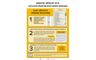 Kas taps geriausiu Seimo rinkimų rezultatų orakulu? Kai kurie naujos Vyriausybės sudėties spėjimai stulbina