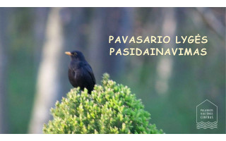 Pavasario lygės pasidainavimas su folkloro ansambliu „Mėguva“