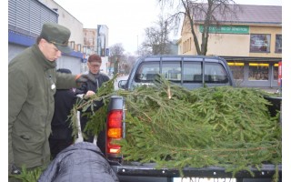 Kai vaikai palieka namus, juose pakanka ir eglišakės