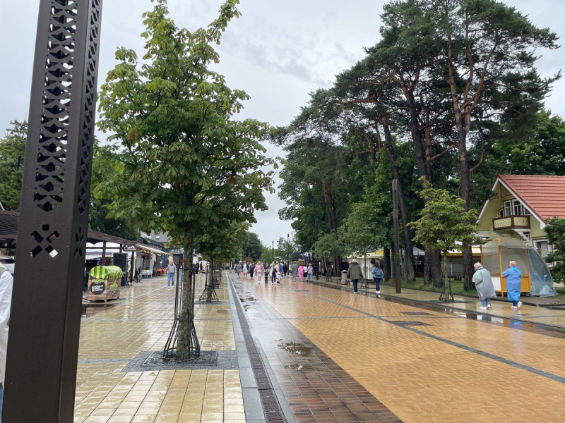 Palanga. FOTO: DEIMANTĖ MARČIULAITYTĖ | DELFI