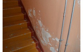 Renovacija Palangoje – „Palangos tilto“ tyrimas (3)