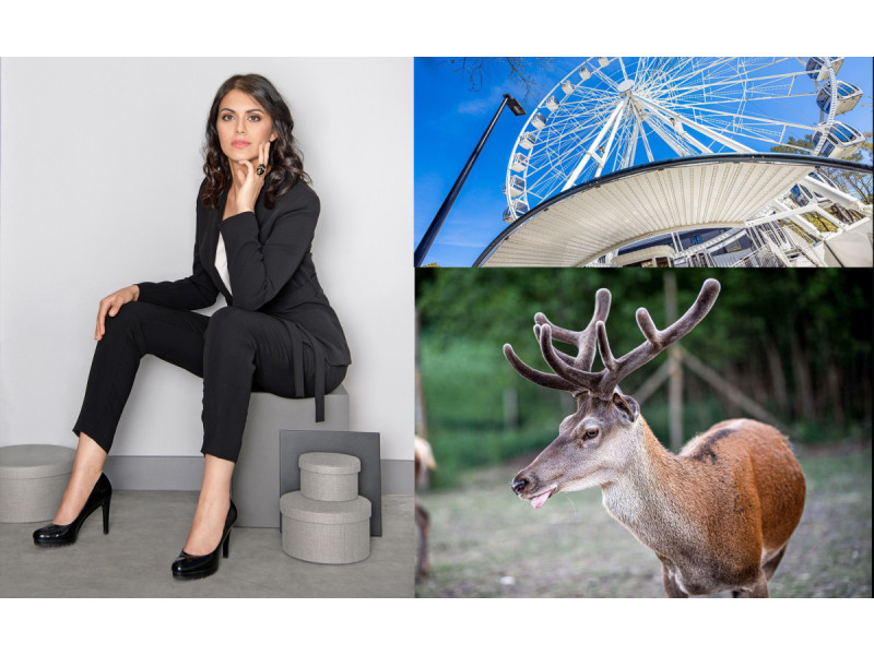 Sugėdinta dukrytės, Tarybos narė Svetlana Tučkė siūlo Palangos apžvalgos ratą pavadinti Elnio ratu (BALANDŽIO 1-OSIOS POKŠTAS)