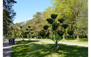 Svečių laukianti Palanga dabinasi tūkstančiais žiedų