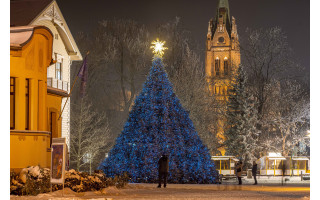  Palanga įžiebė dar niekur neregėtą eglių eglę – vienu metu suspindo keli šimtai žaliaskarių (FOTO GALERIJA)