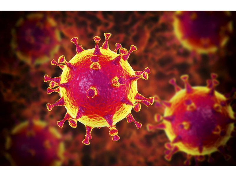Per parą Palangoje nustatyta 18 naujų koronaviruso atvejų, šiuo metu COVID-19 kurorte serga 129 asmenys