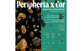 PALANGOS GINTARO MUZIEJUS PRISTATO MANTO LESAUSKO GINTARO MATERIJOS TARDYMUS   