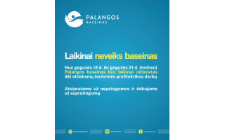 Laikinai neveiks baseinas