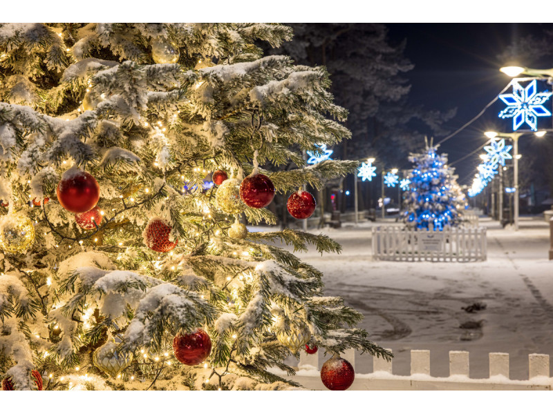 Palangoje kvepia Kalėdomis – pramogautojus žavi Eglių eglė bei įspūdinga žaliaskarių alėja
