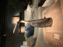 Lino Žulkaus kūrinys 