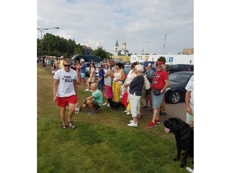 Atidarant Palangos šunų vedžiojimo ir dresavimo aikštelę laikytis saugaus atstumo prašyta ne dėl „kovido“ (FOTO GALERIJA, PILDOMA)