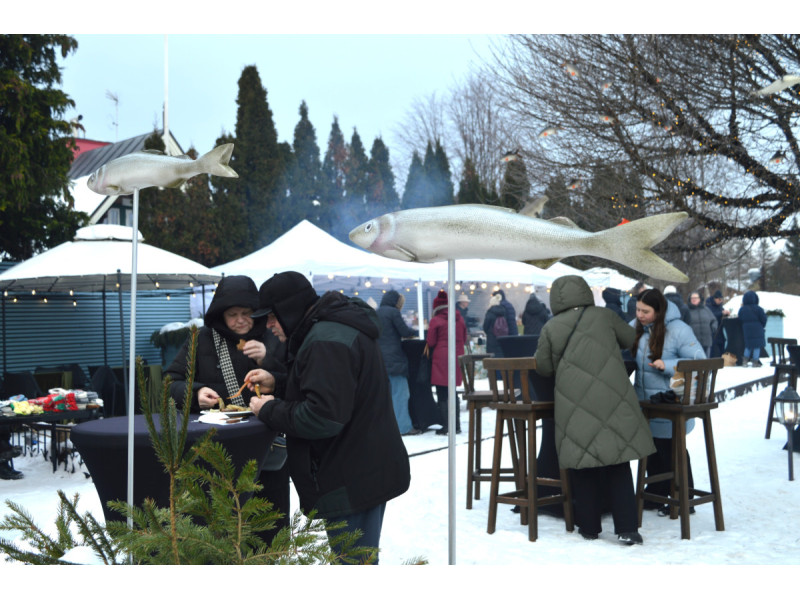 Kvapas, kurio neįmanoma supainioti – Palangoje prasidėjo Stintų šventė