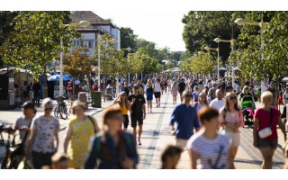 Palangoje įpusėjo Basanavičiaus gatvės ir tilto apšvietimo atnaujinimas