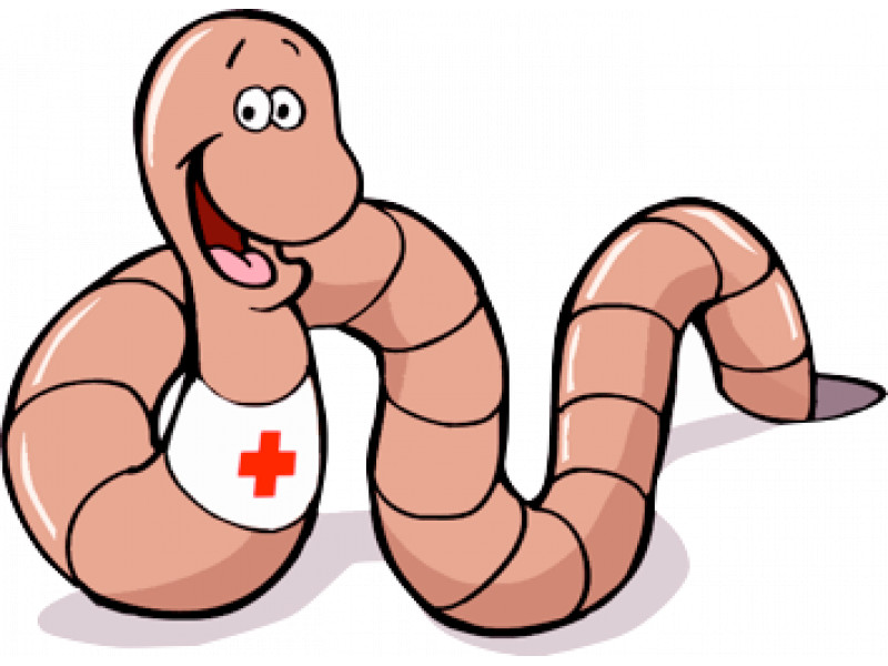 20 143 Facebook vartotojai atsiliepė į „Palangos tilto“ kvietimą išrinkti gražiausią lietuvišką keiksmažodį. Juo tapo šis: „Pakasyk tu sliekui pažastį!“