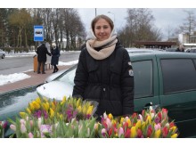 Tulpėmis prekiavusi Deimantė pastebėjo, jog vyrai rinko įvairiausių spalvų tulpes ir pirko ne po vieną, vadinasi, teko plačiau atverti pinigines.