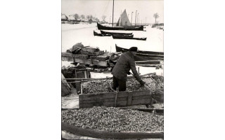 Palanga ruošiasi tradicinei stintų šventei vasario 6-8 dienomis 