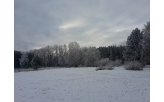 Kiaušinis – ne lobis, bet pramušti jo lukštą –verta