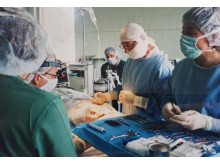 Ausų operacija prieš kelis dešimtmečius 