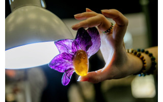 „Amber Trip“: Vilnius 22-ąjį kartą taps pasauline gintaro ir juvelyrikos sostine