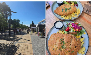Riebus katinas paaiškino, kodėl močiutėms Palangoje užsakė pigesnius patiekalus nei sau