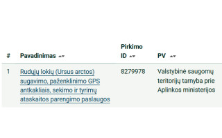 Rudasis lokys pareina į Lietuvos pajūrį!*
