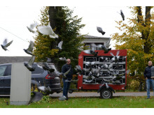 Istorinė akimirka - 250 balandžių paleidimas 