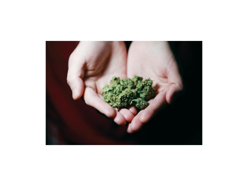 Marihuana / Pexels