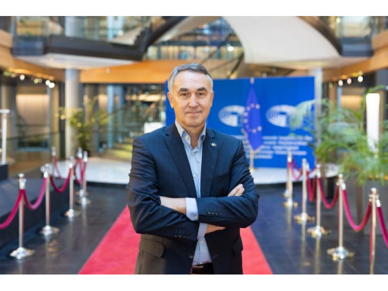 Petras Auštrevičius – europarlamentaras, Europos Parlamento Užsienio reikalų komiteto narys