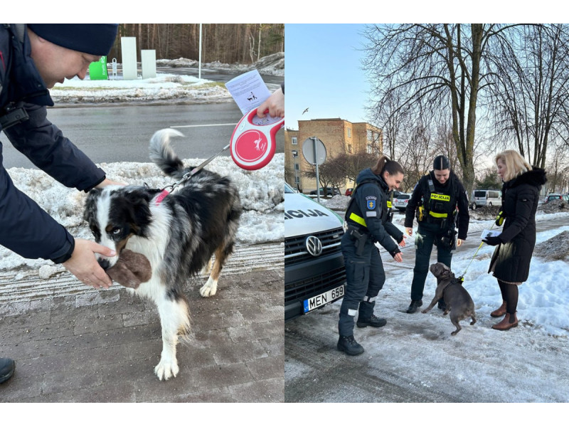 Palangos miesto savivaldybės nuotr.