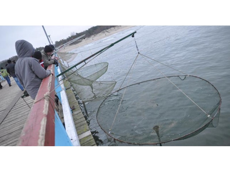Ant Palangos tilto žvejojusiam žvejui skirta 45 eurų bauda: neturėjo žvejybai kortelės 