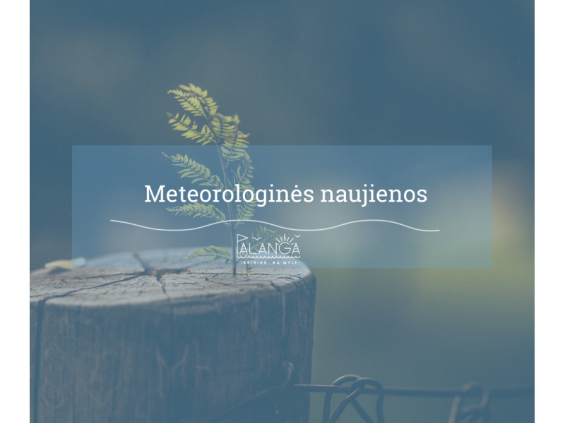 Perspėjimas apie pavojingą meteorologinį reiškinį – smarkų vėją spalio 31 d. – lapkričio 2 d.