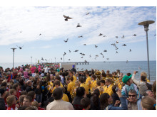 Tūkstančio pašto balandžių paleidimas į dangų nuo Palangos jūros tilto 2009 m. gegužės 16 d. švenčiant Lietuvos vardo tūkstantmečio paminėjimo sukaktį.