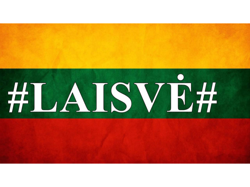 Žodis „laisvė“ – 54-ių Lietuvos organizacijų pavadinimuose