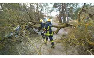 Stiprus vėjas Palangoje pridarė bėdų