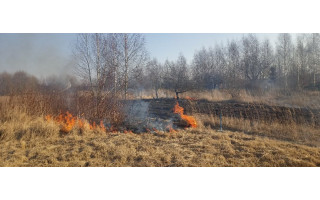 Baudos už žolės deginimą – ne vienintelė priežastis būti atsargiems