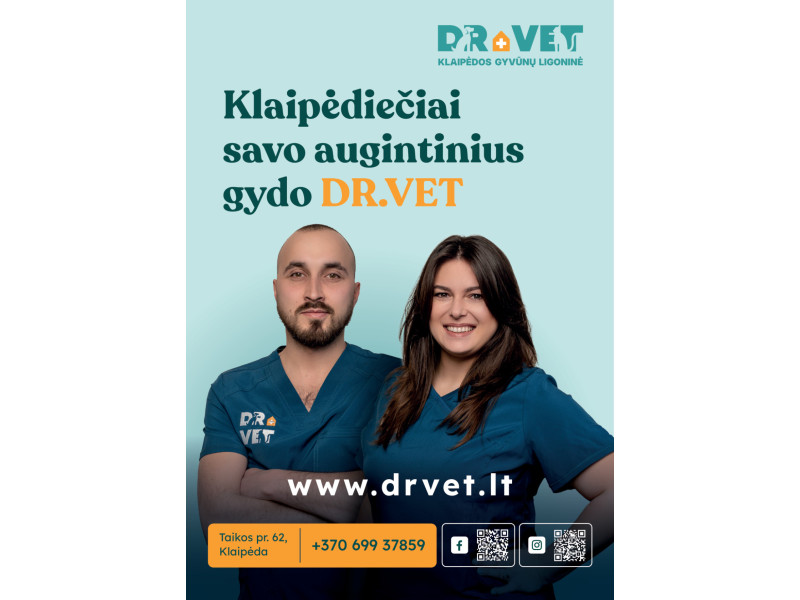 Saulės poveikis augintiniams – negailestingas: odos vėžiu suserga net iš namų neišeinančios katės