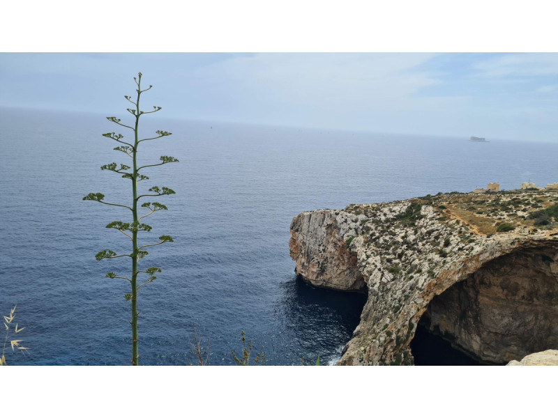 Piligriminė kelionė į Maltą – kodėl kiekvienam bent sykį gyvenime verta tai patirti 