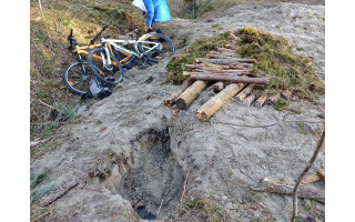 Nauji vandalizmo būdai Palangoje: dviratininkai niokoja miškus?
